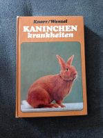 Knorr/Wenzel  KANINCHEN krankheiten Anrode - Lengefeld Vorschau