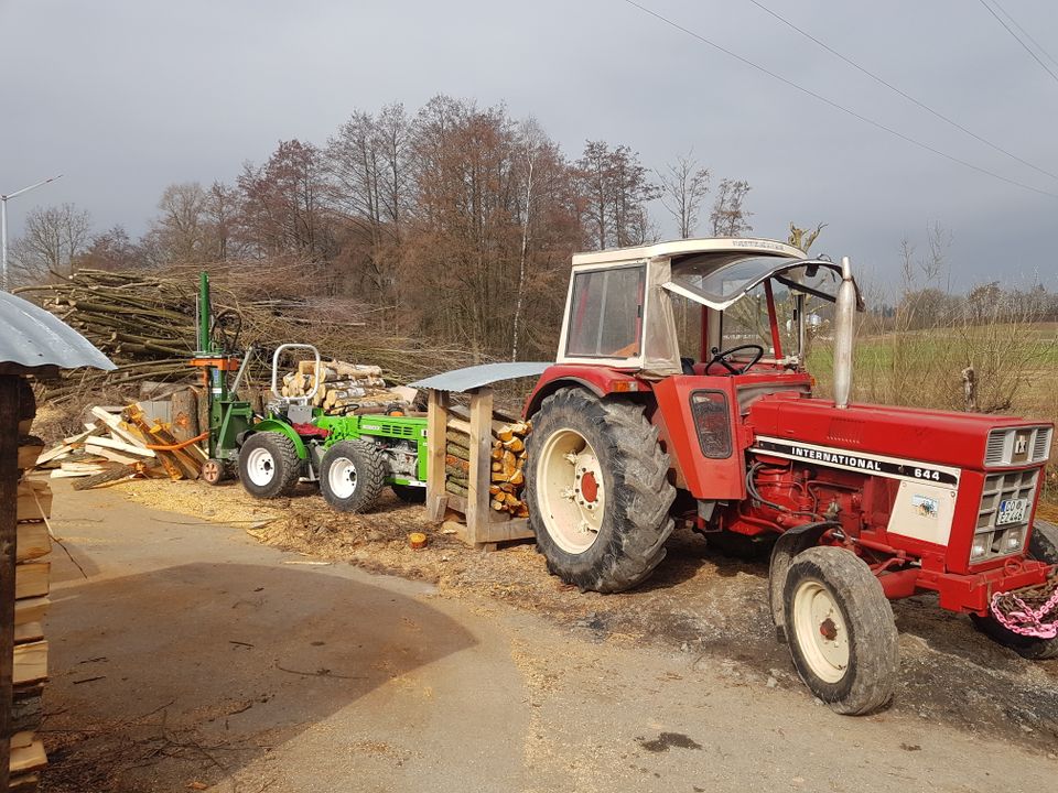 Regionales Nachhaltiges Brennholz Kaminholz Feuerholz in Neustadt b.Coburg