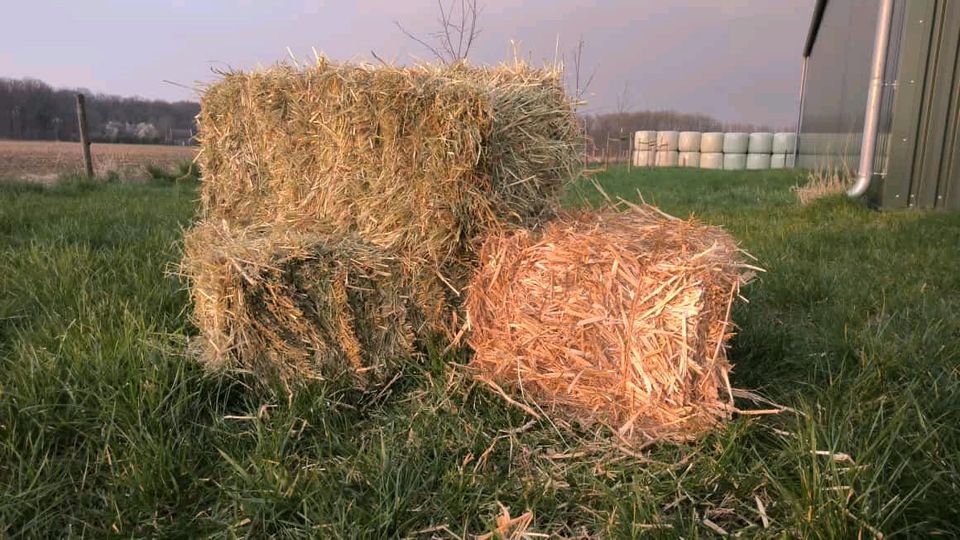 HD ballen Heu und Stroh in Grefrath