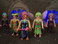 Playmobil Magic fünf Feen Elfen Schleswig-Holstein - Geschendorf Vorschau