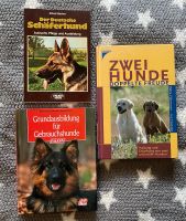 Hunde Bücher Bayern - Scheinfeld Vorschau