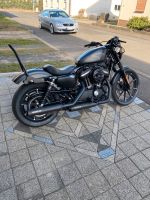 Harley Davidson Iron 883 / Miller Abgasanlage Hessen - Lauterbach (Hessen) Vorschau