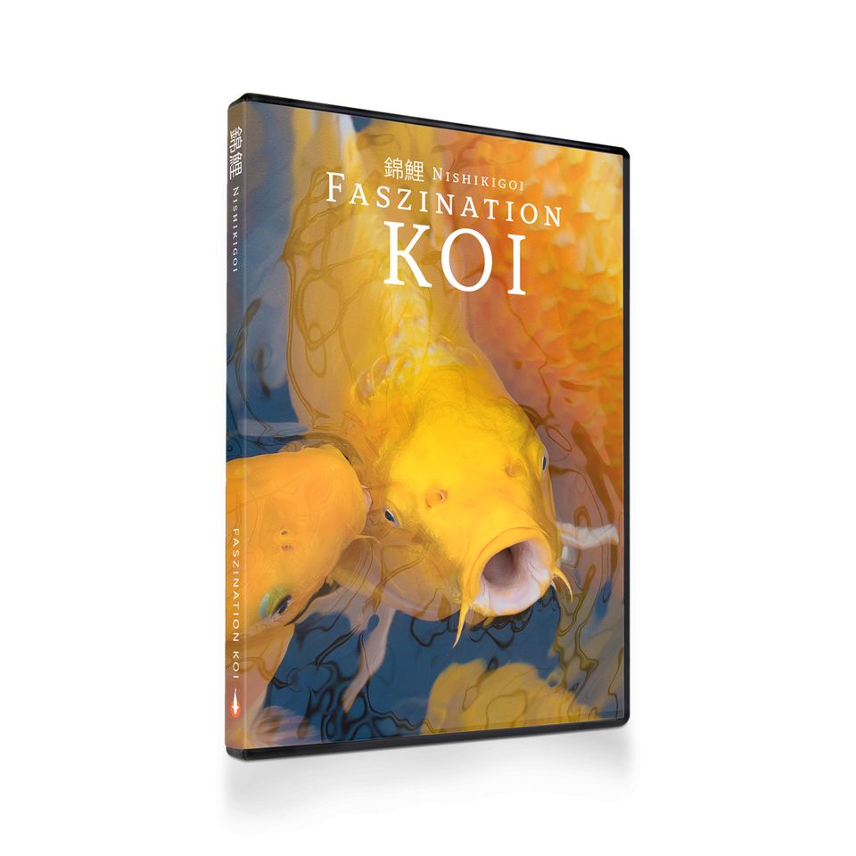 Koi Film Ratgeber - Faszination Koi | DVD BOX (Teil 1-3) in Waldfeucht