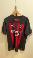 AC Milan Trikot Herren XL Bayern - Freyung Vorschau
