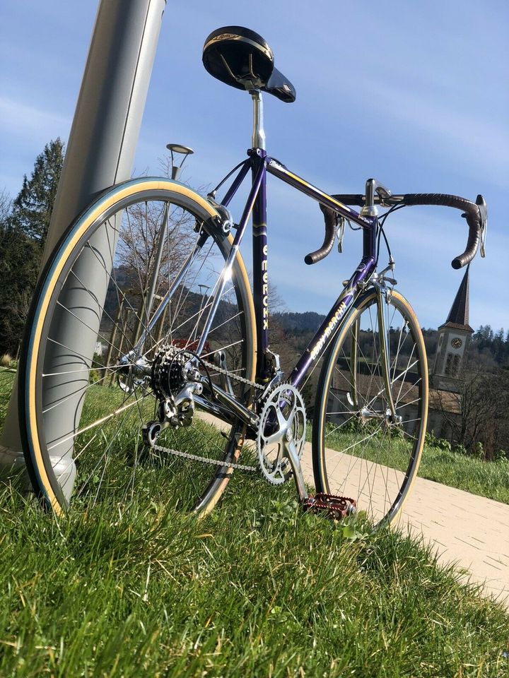 Eddy Merckx Corsa Extra Mieten Campagnolo Rennrad Laufradsatz in Sulzburg