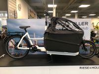 RIESE&MÜLLER Packster70 vario white 625Wh 30% Nachlass !! Niedersachsen - Osnabrück Vorschau