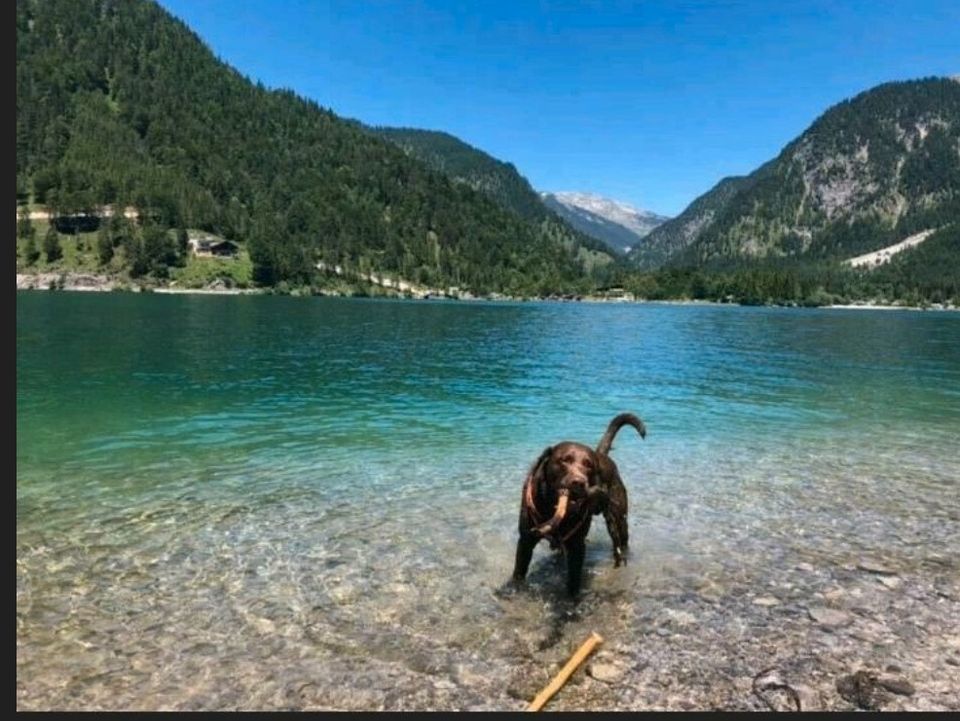 Tirol Lechtal ⛰️Ferienwohnung!  24.8 - 7.9 wieder frei ‼️ in Selters