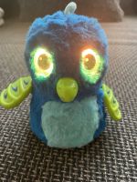 Hatchimal Vogel Dortmund - Lütgendortmund Vorschau