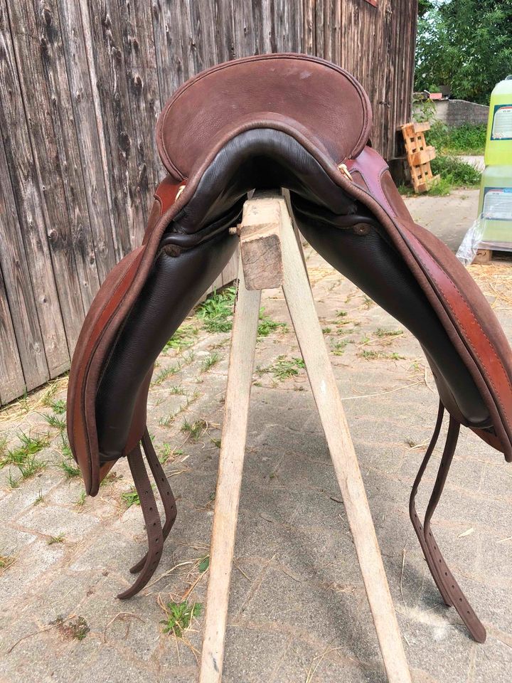 Deuber El Campo SKL Shorty S3 (Working Equitation) in Staufen im Breisgau