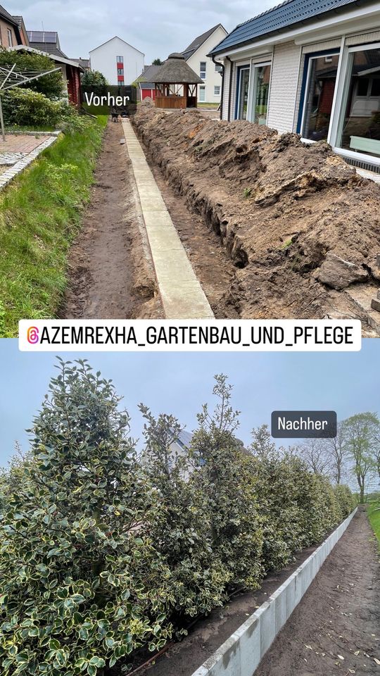 Heckenschnitt / Baumschnitt | Gartenpflege in Horst (Holstein)