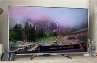 Panasonic TV - 4K Fernseher 58“ - TX-58DX788 Essen - Rüttenscheid Vorschau