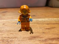 Lego Figur Schleswig-Holstein - Leezen Vorschau