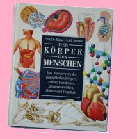 Buch"Der Körper des Menschen" Hamburg-Mitte - Hamburg St. Georg Vorschau