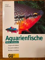 Aquarienfische artgerecht halten, gesund ernähren und verstehen Rheinland-Pfalz - Volkerzen Vorschau