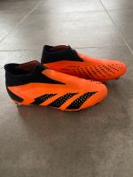 Adidas Predator Fußballschuhe Größe 38 Bayern - Wemding Vorschau