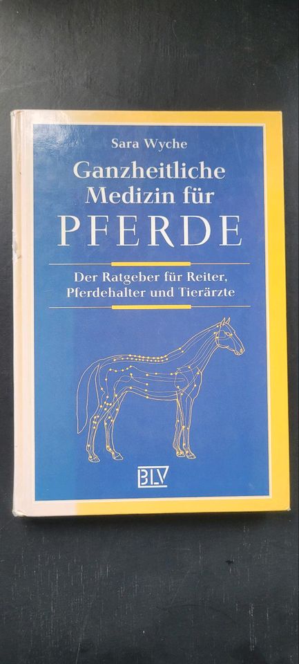 Ganzheitliche Medizin für Pferde Sara Wyche in Leipzig