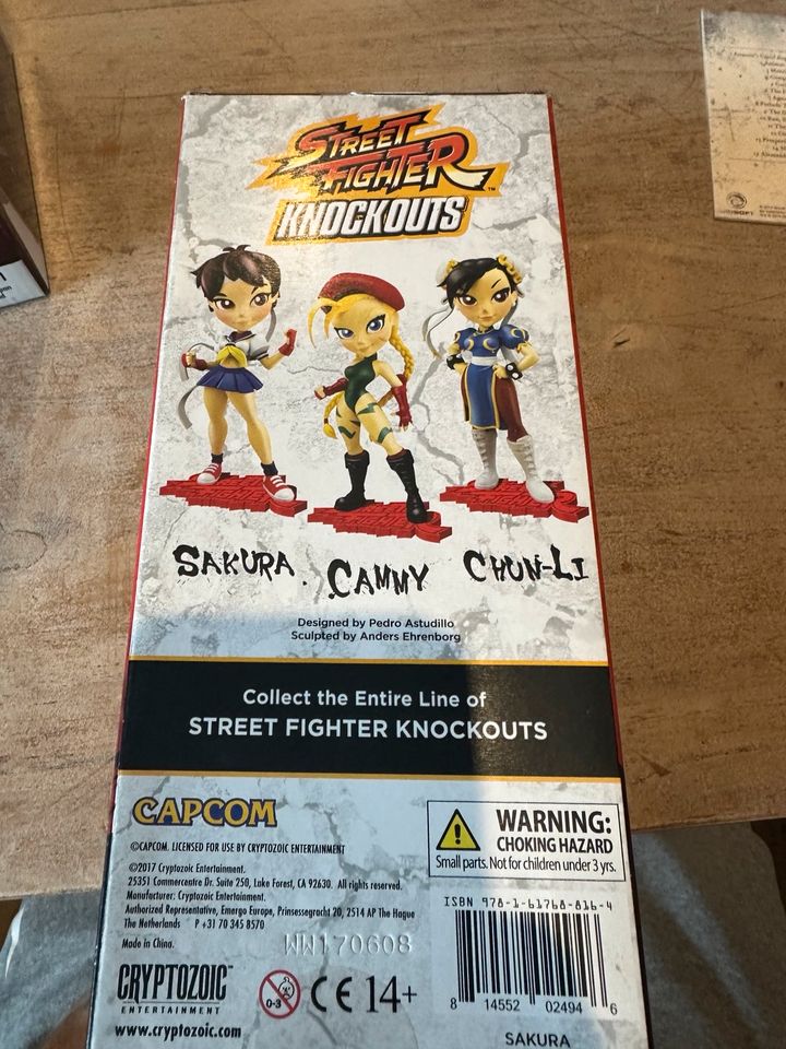 Streetfighter Knockouts Sakura in Gronau (Westfalen)