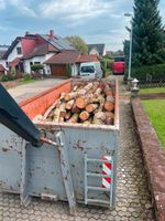 Container - Abrollcontainer für Brennholz/Holz  - Containerdienst Rheinland-Pfalz - Polch Vorschau