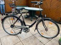 Domino Göricke Fahrrad 26 Zoll Niedersachsen - Oldenburg Vorschau