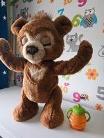 FurReal Cubby Bear Bär Blueberry-Bär Bochum - Bochum-Ost Vorschau