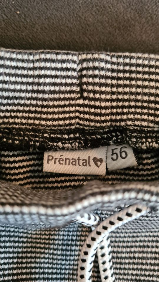 Prenatal Hose Schwarz gepunktet in Viersen