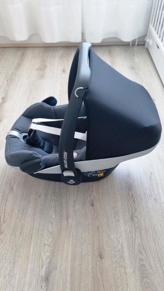 Maxi Cosi Pebble Pro i-Sitze in Coerde