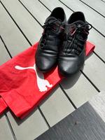 Sneaker Turnschuhe Schuhe Puma cat Speed Future 42 43 Hessen - Hofheim am Taunus Vorschau
