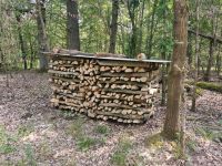 Brennholz, Kaminholz von Privat Hessen - Ranstadt Vorschau