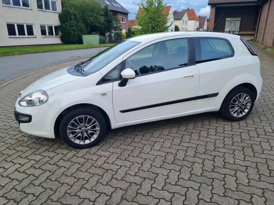 Fiat Punto 1.2 "" Tüv Neu 06.2026 "" Guter Zustand in Lübbecke 