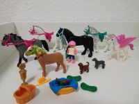 5 x Playmobil Pferde, 1 Pegasus, 2 Hunde,1 Katze mit Zubehör Mülheim - Köln Stammheim Vorschau