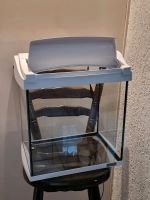 Aquarium inkl. Beleuchtung 35x25x35 Nordrhein-Westfalen - Recklinghausen Vorschau