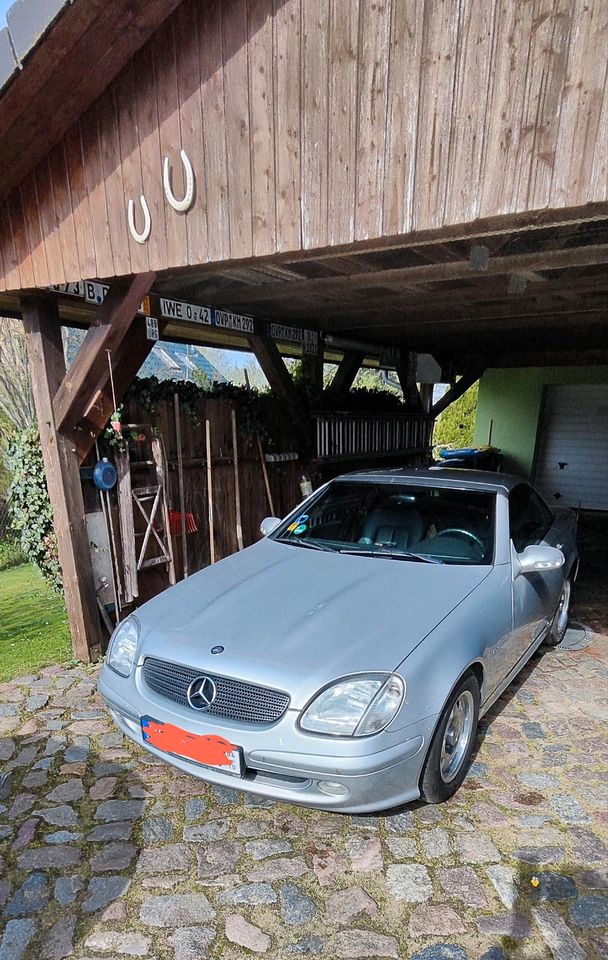 Mercedes Benz SLK in Züssow
