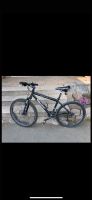 No Saint 26 Zoll Mountainbike Hessen - Fuldatal Vorschau