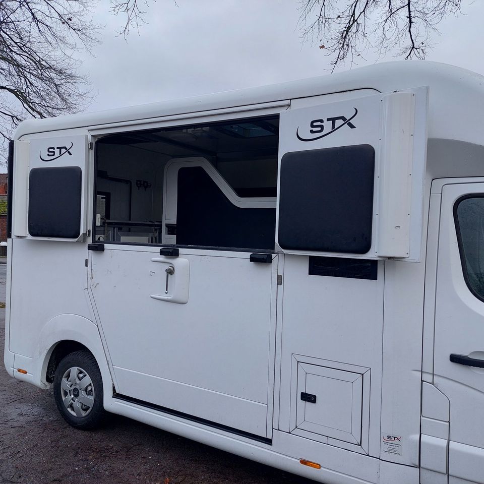 Pferdetransporter STX Horsebox Opel 3,5 t gebraucht, 5-Sitzer in Großderschau