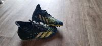 Adidas Predator Freak Fussballschuhe große 38 Hessen - Linsengericht Vorschau