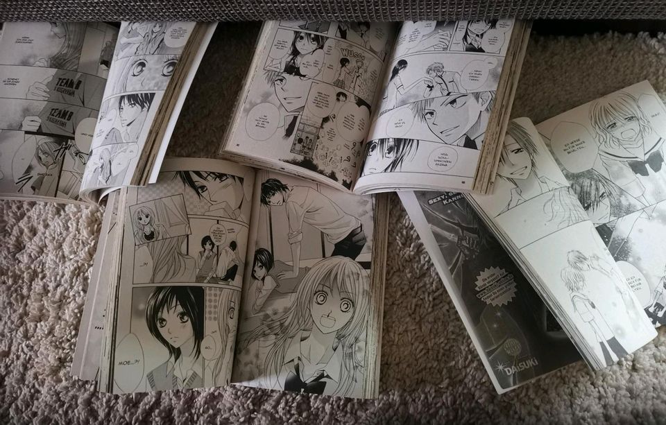 Manga Maid Sama + Hira Fujuwara in Bad Königshofen