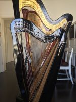Hakenharfe zu verkaufen harfe Haken irische Harfe Frankfurt am Main - Dornbusch Vorschau