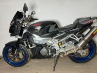 Aprilia Tuono V2 RR Baden-Württemberg - Waldstetten Vorschau