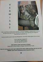 Wo bist du nur?    ...VERMISST... Sachsen-Anhalt - Stendal Vorschau