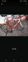 Rennrad Specialized Allez 56cm Campagnolo ,Mavic Thüringen - Mühlhausen Vorschau