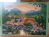 Innovakids-Puzzle "Tiger-Familie" mit 1000 Teilen (WIE NEU) - 4 Bayern - Straubing Vorschau