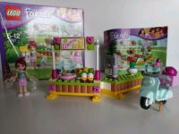 41027 Lego Friends Brandenburg - Treuenbrietzen Vorschau