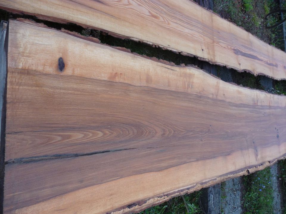 Esche-Bohlen Schnittholz Tischplatten Waschtisch Epoxidharz in Harburg (Schwaben)