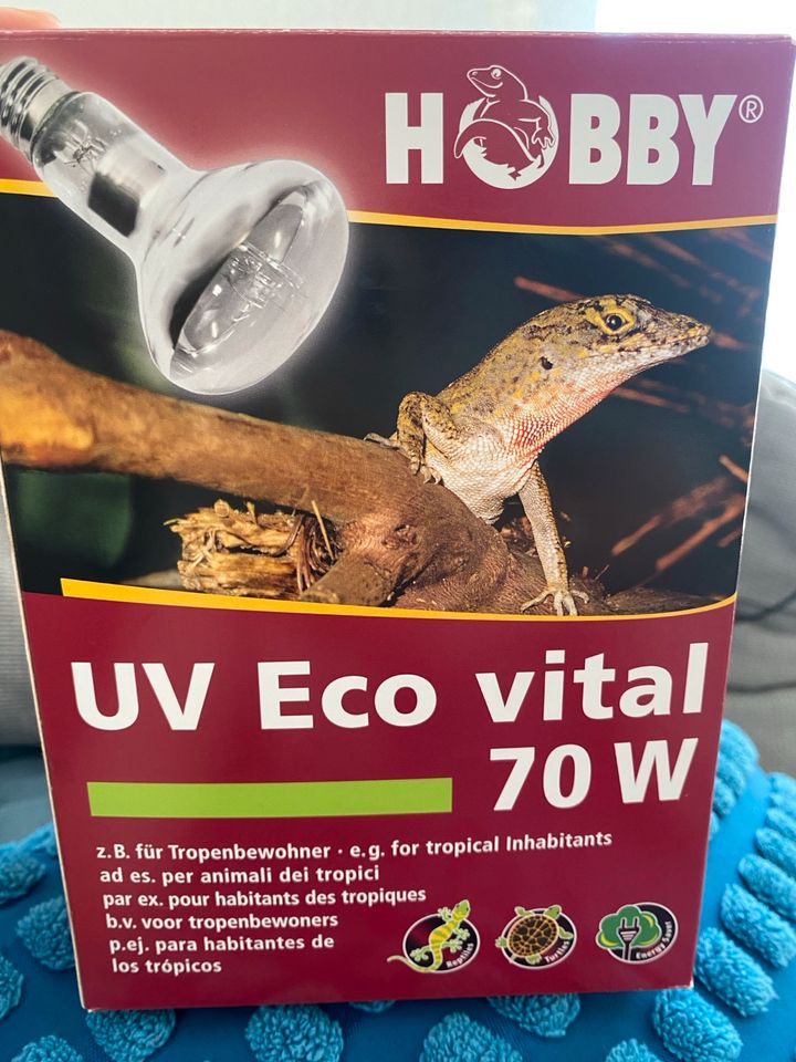 UV Lampe 70 Watt in Rostock