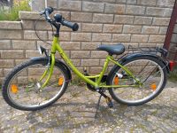 Fahrrad 24 Zoll Niedersachsen - Duderstadt Vorschau