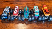 Hot Wheels Monstertruck 2023/24 Modelle Schleswig-Holstein - Kaltenkirchen Vorschau