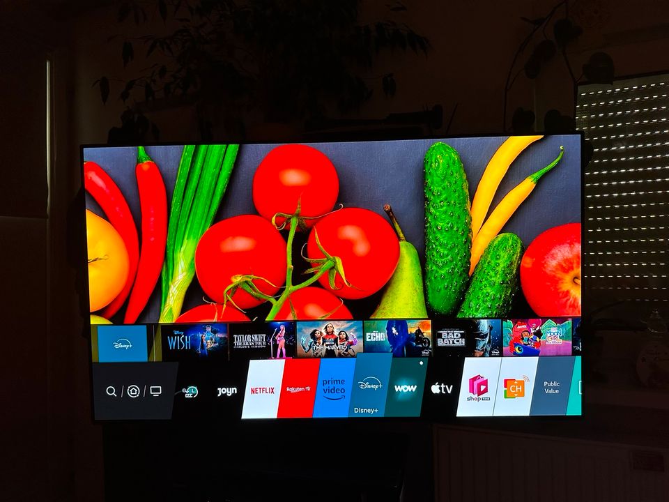 LG OLED 4K TV 55 Zoll in Dresden