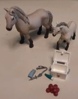 Schleich 42430, Horse Club Hannahs Erste-Hilfe-Set Bayern - Teublitz Vorschau