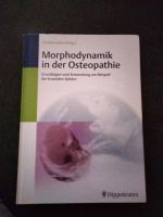 Morphodynamik in der Osteopathie Niedersachsen - Friedland Vorschau