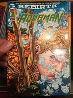 zweite Aquaman-Serie Rebirth von Panini aus 2017 - 2019 komplett Niedersachsen - Obernkirchen Vorschau